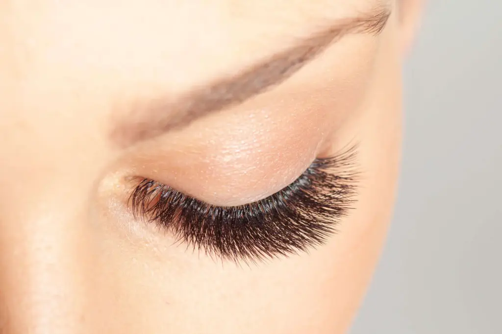 Lash & Brow Treatments in Maple Grove, MN